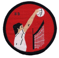 Volleyball Colour