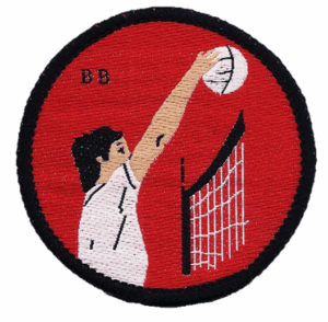 Volleyball Colour