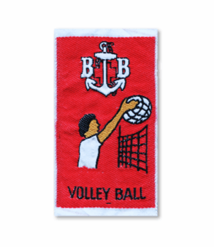 Zimbabwe sports Colour - Volleyball