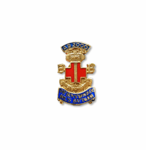 AD2000 Wiltshire Battalion